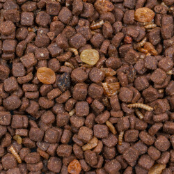 Beyers Deli Nature Igelfutter Hedgehog Mix 600g...