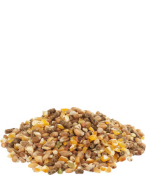 Versele-Laga Countrys Best Gold 4 Mix 20kg Komplettes Futter Legehennen, Hühner, Geflügel