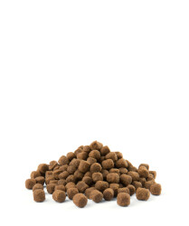 Versele-Laga Opti Life Adult Digestion Mini Lamm & Reis – 2,5kg Sensitives Hundefutter, kleine Hunde