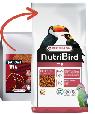 Versele-Laga NutriBird T16 700g – Futter Beos, Tukane, Turakos Fruchttauben, Tauben, Zuchttauben