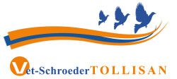 VET Schroeder + Tollisan Med. Tollyamin Forte 1000ml Hochdosierte Aminosäuren, Vitamine, Mauser