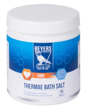 Beyers Thermae Bath Salt Badesalz 750g Antibakterielles...