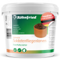 Schwarze Soldatenfliegenlarven getrocknet - 800g